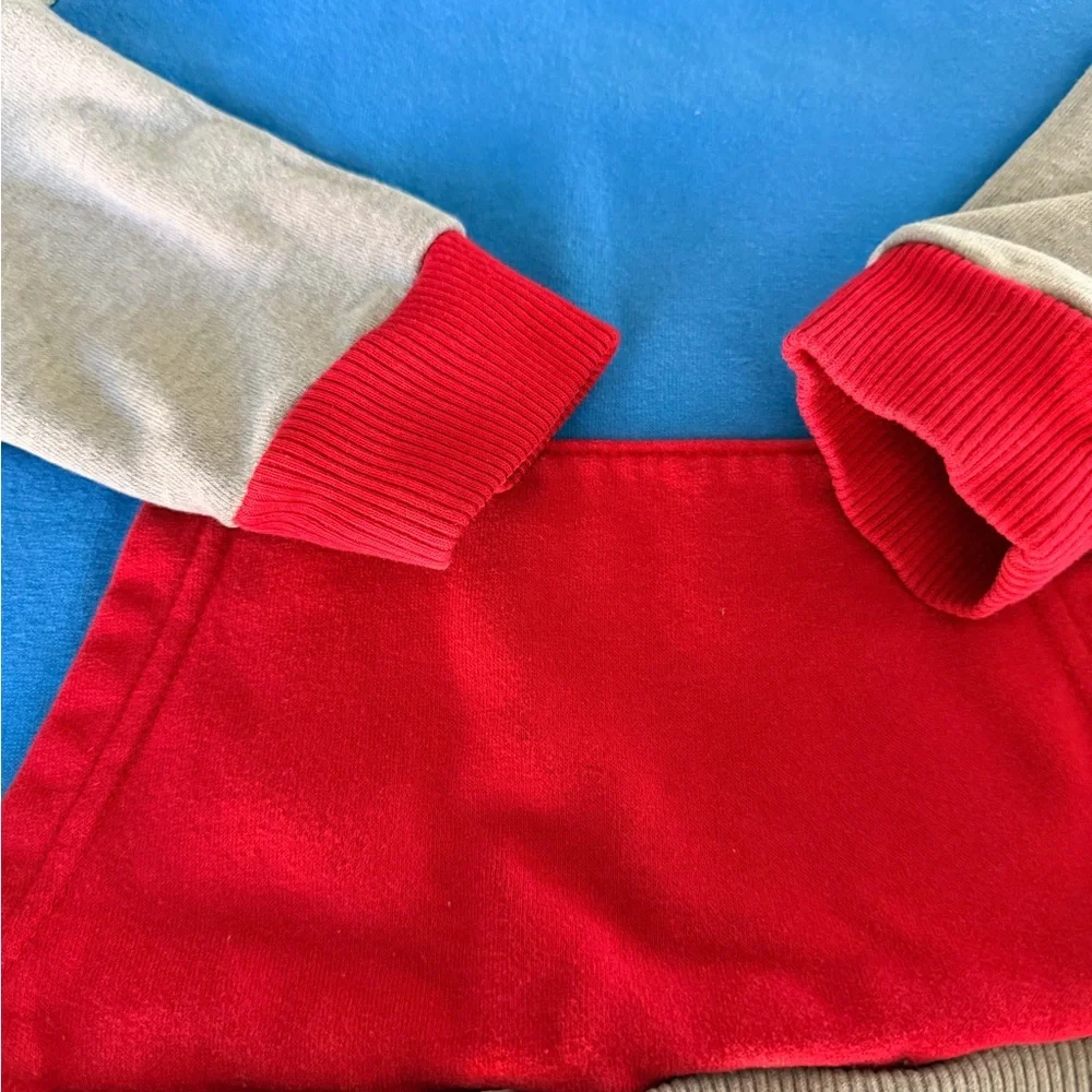 The Children's Place Blue, Gray & Red Colorblock Hooded Sweatshirt
